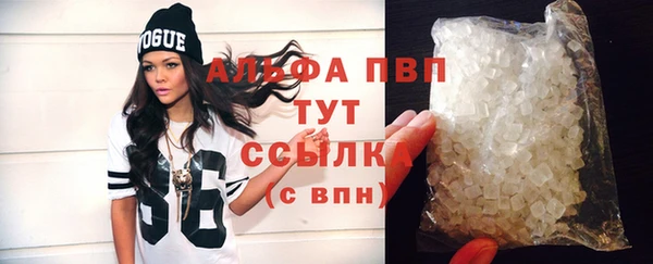 скорость Вяземский