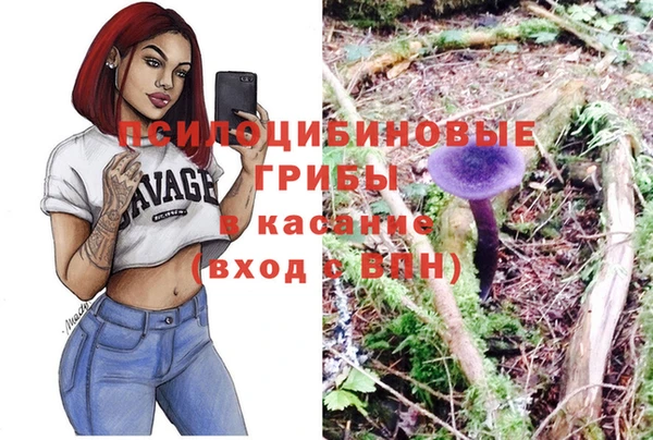 ECSTASY Вязьма