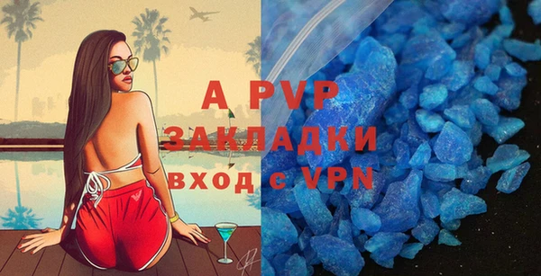 скорость Вяземский
