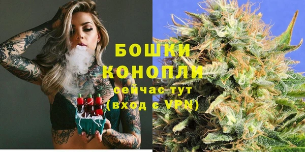 скорость Вяземский