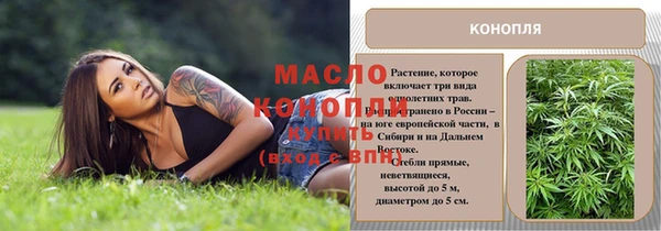 скорость Вяземский