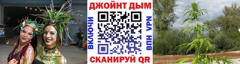 Бошки марихуана LSD WEED  наркошоп  Мытищи 
